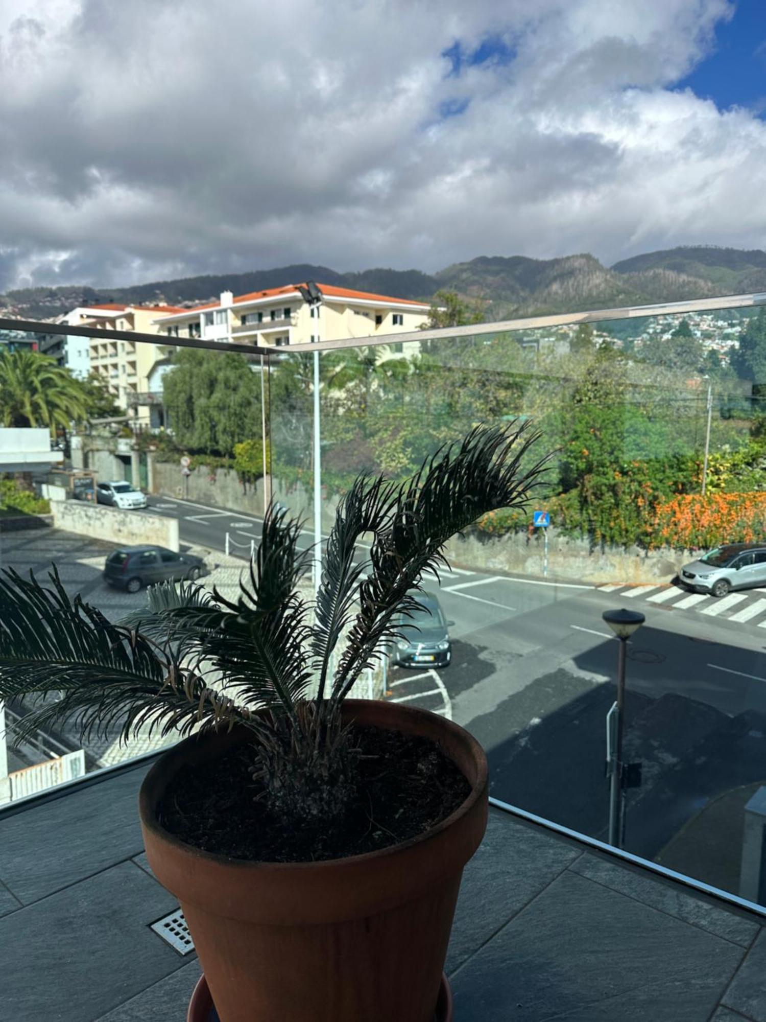 Raphael Funchal Views Apartment Zewnętrze zdjęcie